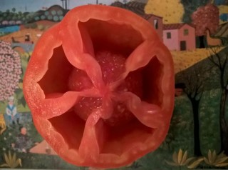 Oxheart tomato