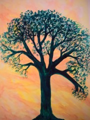 Albero al tramonto