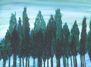 Cypresses