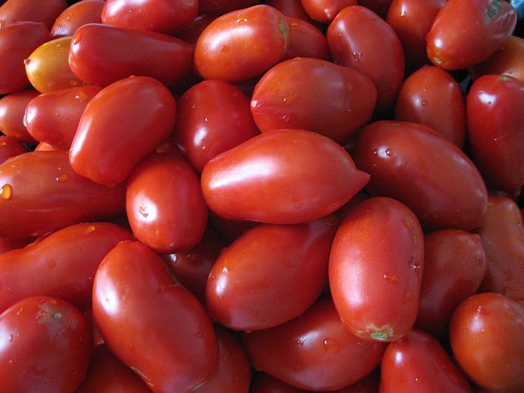 Tomatoes