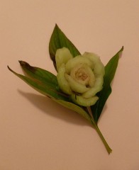 What is this flower?